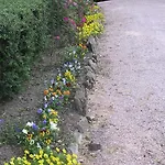 Bed & Breakfast Casa Fiorita Sant'Enea