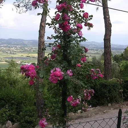 Bed and breakfast Casa Fiorita Sant'Enea