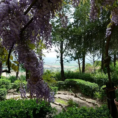 Casa Fiorita Bed & Breakfast