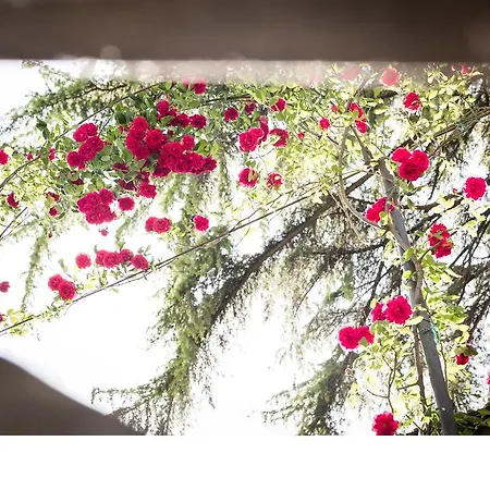 Bed and breakfast Casa Fiorita 4*