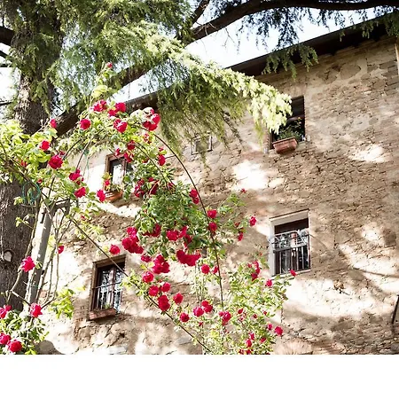 Bed & Breakfast Casa Fiorita Sant'Enea